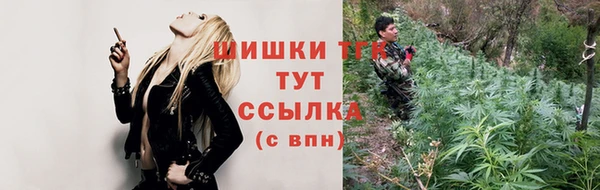 крисы Осинники