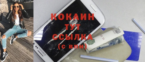 крисы Осинники