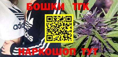 индика Кунгур