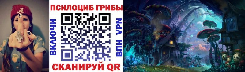 Псилоцибиновые грибы Psilocybe  МЕГА как войти  Анжеро-Судженск 