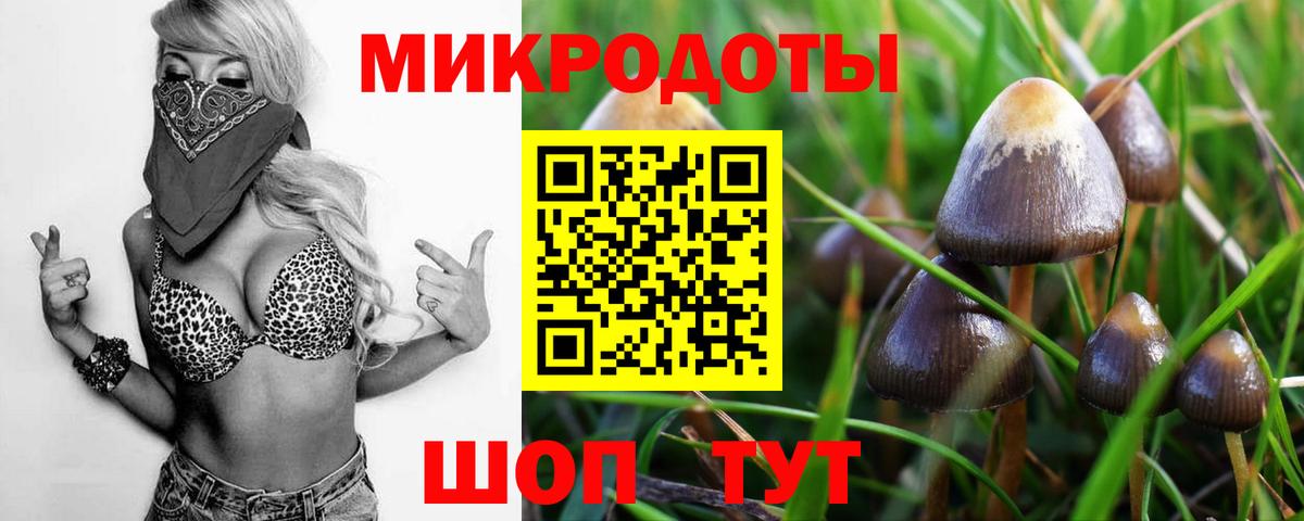Анжеро-Судженск  Галлюциногенные грибы Cubensis  Вход с VPN 